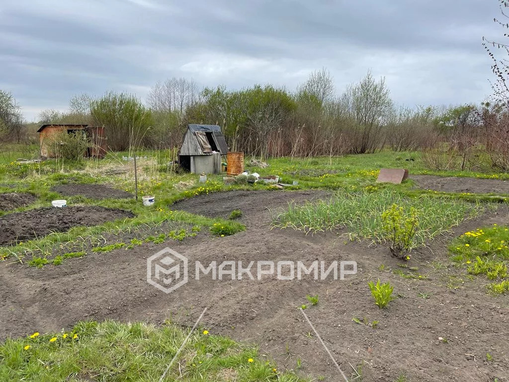 Продажа участка, Голубево, Гурьевский район - Фото 3