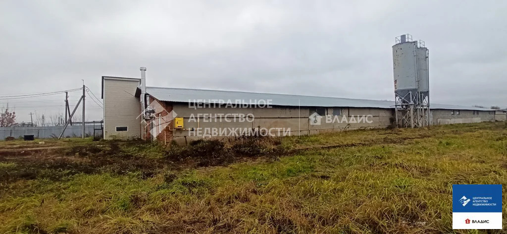 Аренда производственного помещения, Льгово, Рязанский район - Фото 4