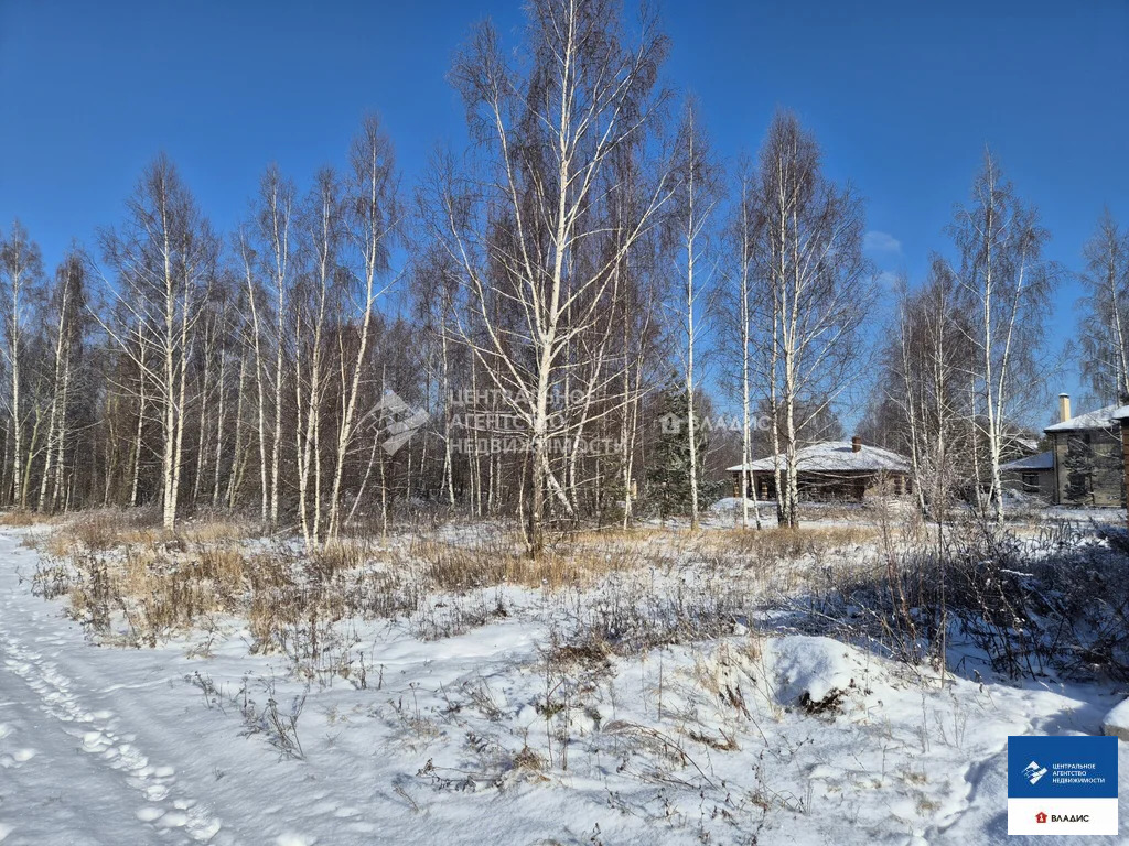 Продажа участка, Алеканово, Рязанский район, Светлая улица - Фото 2