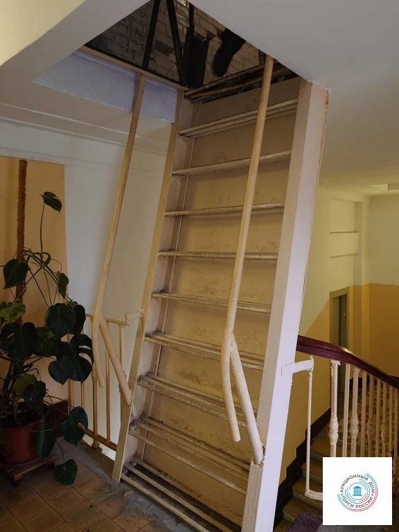 Продается квартира, 309 м - Фото 1