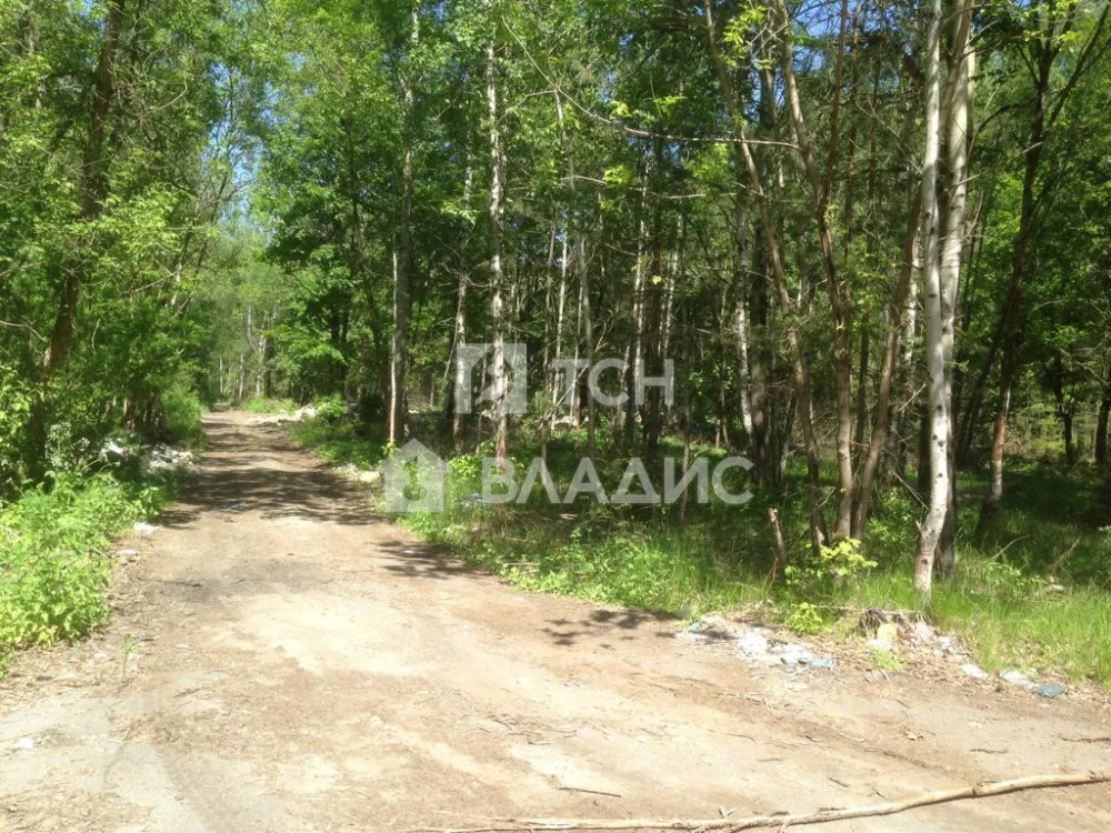 Земельный участок на продажу, Богородский городской округ, . - Фото 2