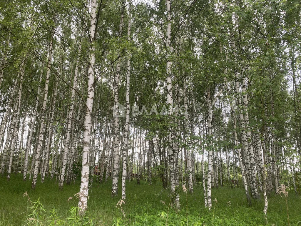 Суздальский район, село Баскаки,  земля на продажу - Фото 0