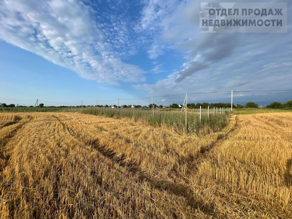 Большой участок - Фото 5