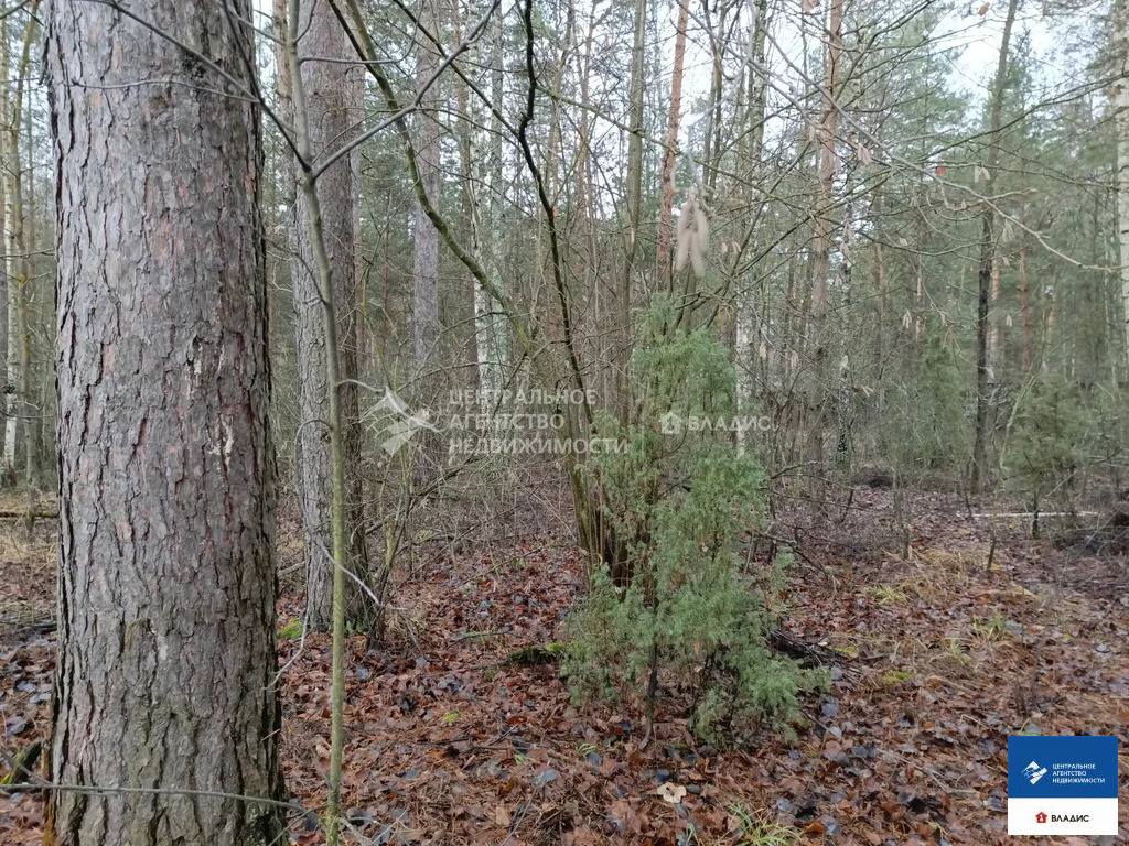 Продажа участка, Алеканово, Рязанский район - Фото 3