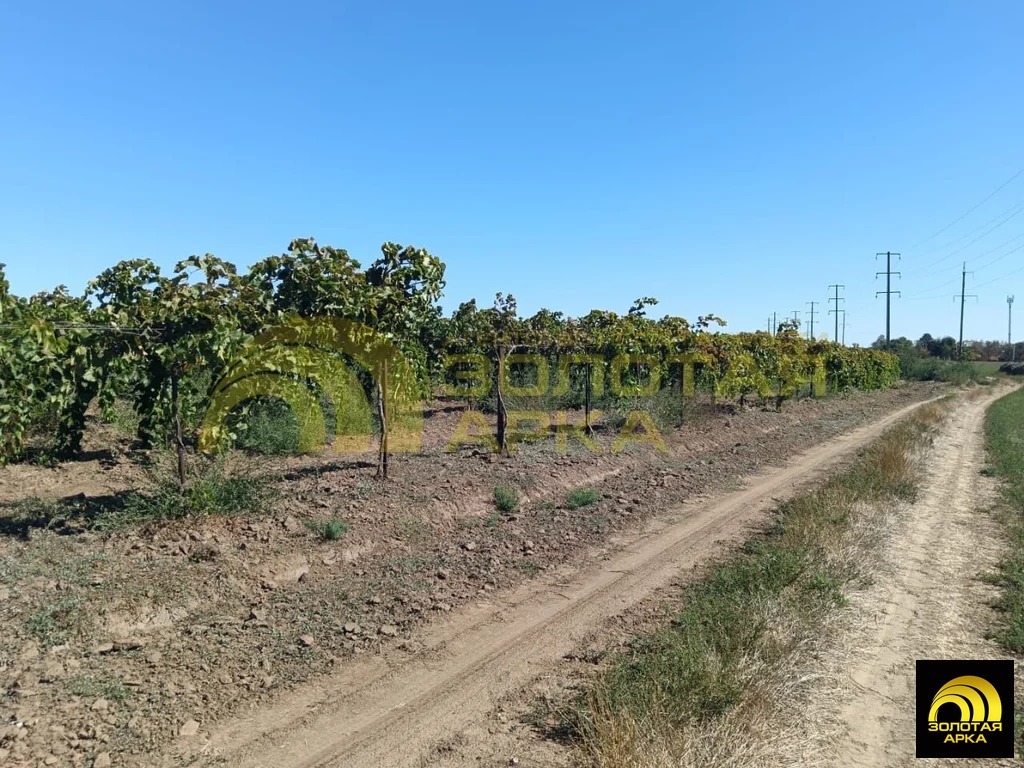 Продажа участка, Старотитаровская, Темрюкский район, Ильича пер. - Фото 12