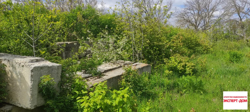 Продажа участка, Мержаново, Неклиновский район, Голубые ели сад - Фото 12