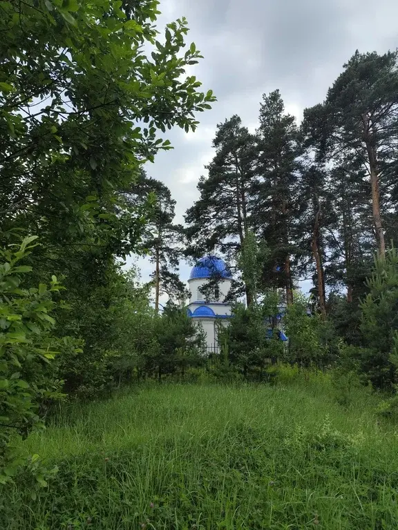 Продаю лесной участок около Храма в п. Горка - Фото 17