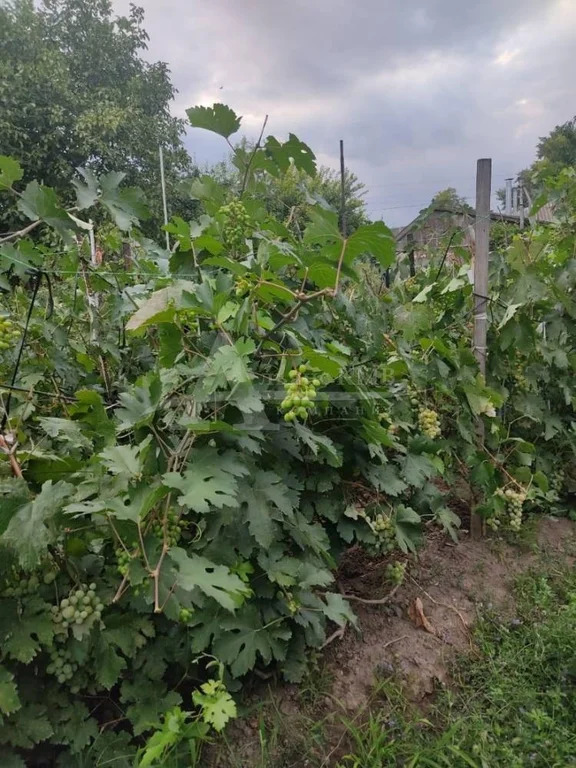 Продажа дома, Горькая Балка, Советский район, ул. Гагарина - Фото 19