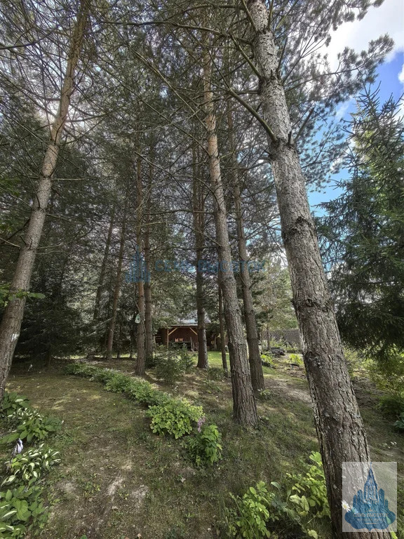 Продажа дома, Чехов, Чеховский район, 55 - Фото 34