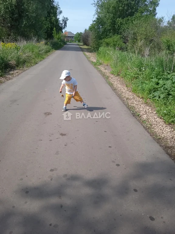 городской округ Арзамас, село Шерстино,  дом на продажу - Фото 4