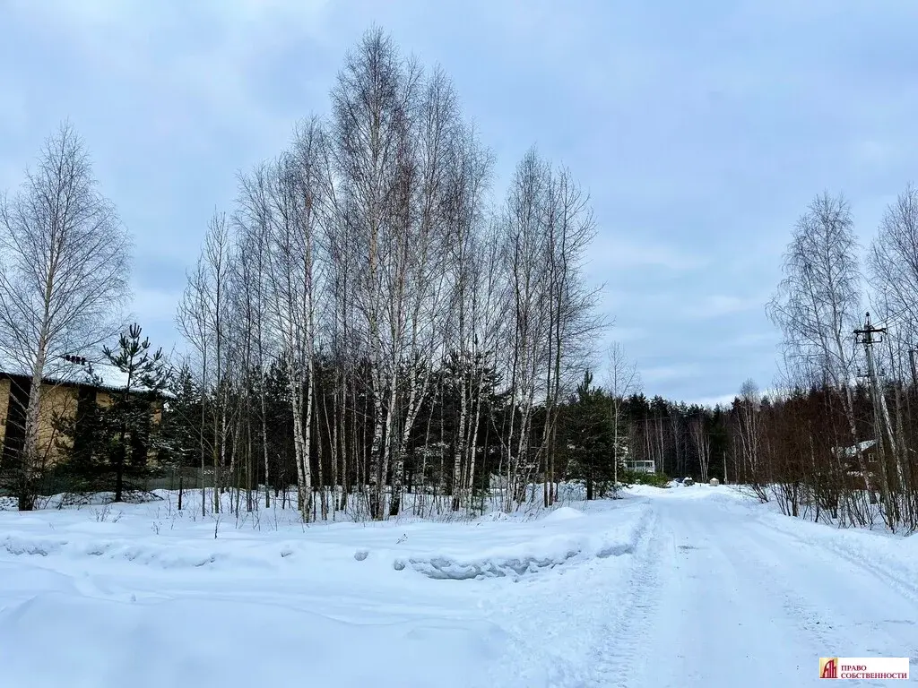 Продается участок 5 соток крайний к лесу. ИЖС, Шмеленки - Фото 2