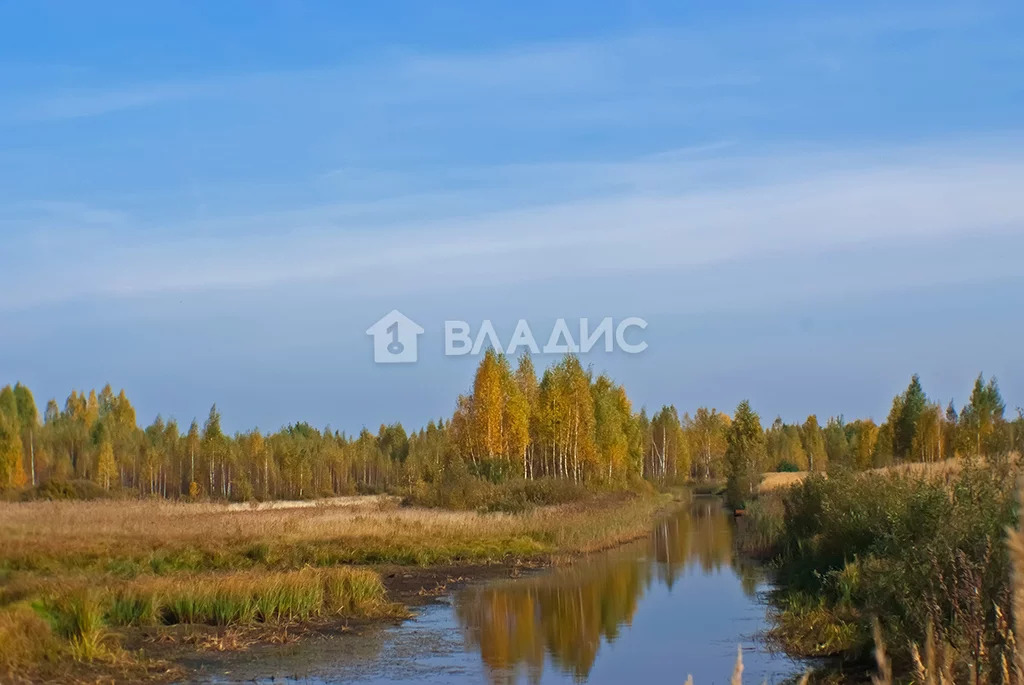 Гусь-Хрустальный район, село Колпь, земля на продажу - Фото 1