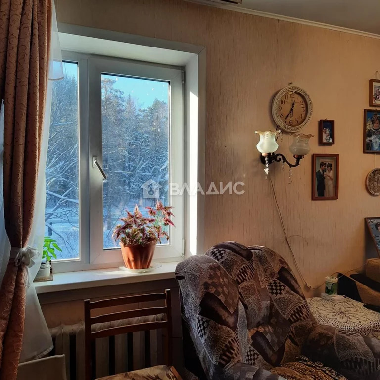 Жемчужная. Квартира верхняя зона академгородка. Вид в квартире академ. Квартира верхняя зона академгородка. Академическая 26 новосибирск.
