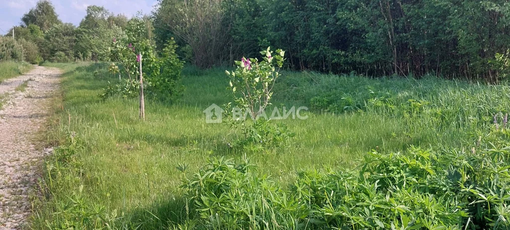 Судогодский район, деревня Дорофеево, Центральная улица,  дом на ... - Фото 8