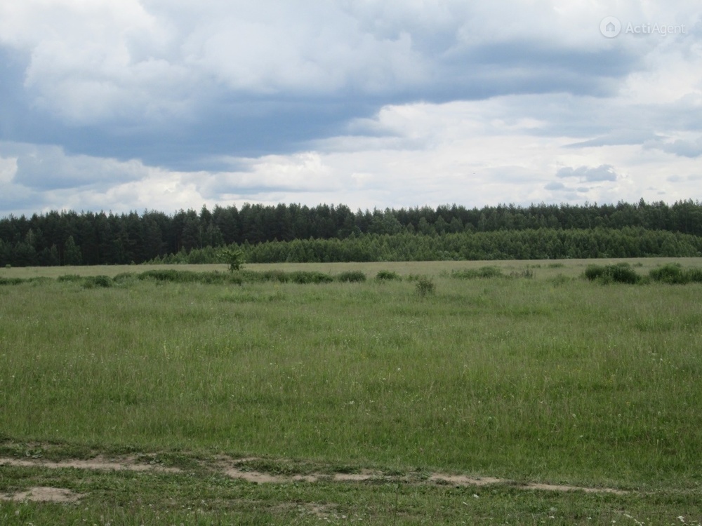 Купить Сено В Арзамасе И Арзамасском Районе