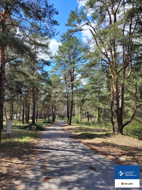 Продажа участка, Рязанский район - Фото 13