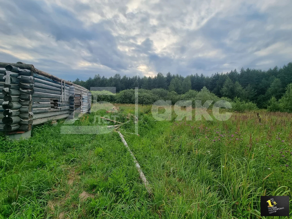 Продажа участка, Воскресенск, Воскресенский район, Богатищево д, 45 - Фото 4
