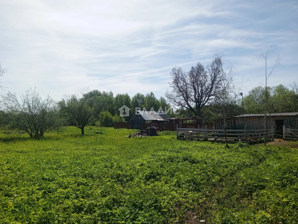 Собинский муниципальный округ, деревня Костино,  дом на продажу - Фото 5
