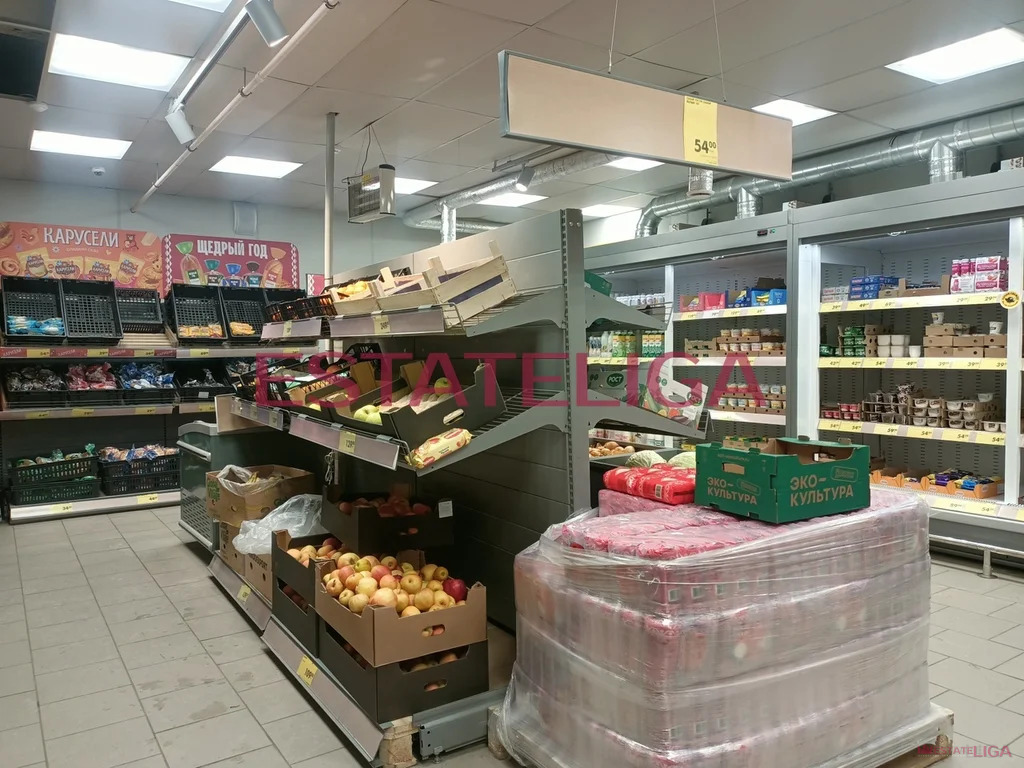 Продажа готового бизнеса, Фряново, Щелковский район, ул. Парковая - Фото 7