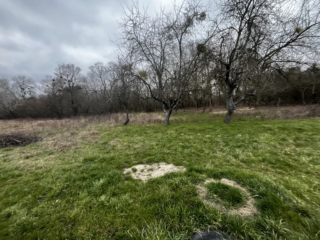 Продажа участка, Смоленская, Северский район - Фото 2