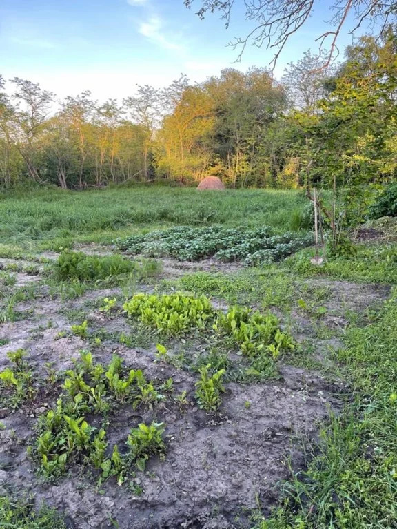 Продажа дома, Минеральные Воды, ул. Садовая - Фото 1