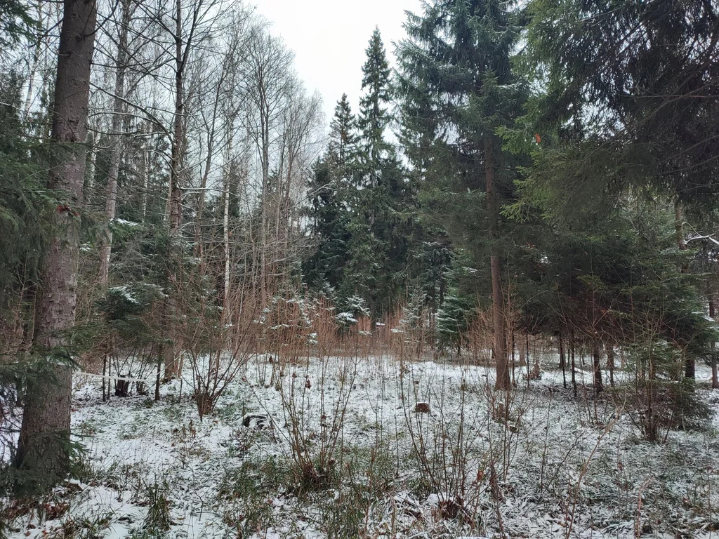 Продажа участка, НИИ Радио, Одинцовский район, Тыльная улица - Фото 2