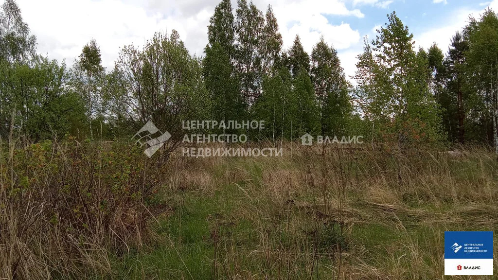Продажа дома, Велье-Родионовка, Спасский район - Фото 40