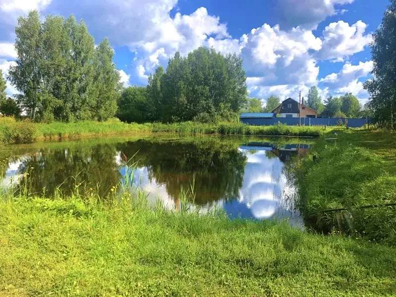 Поселок рязановский егорьевского района фото