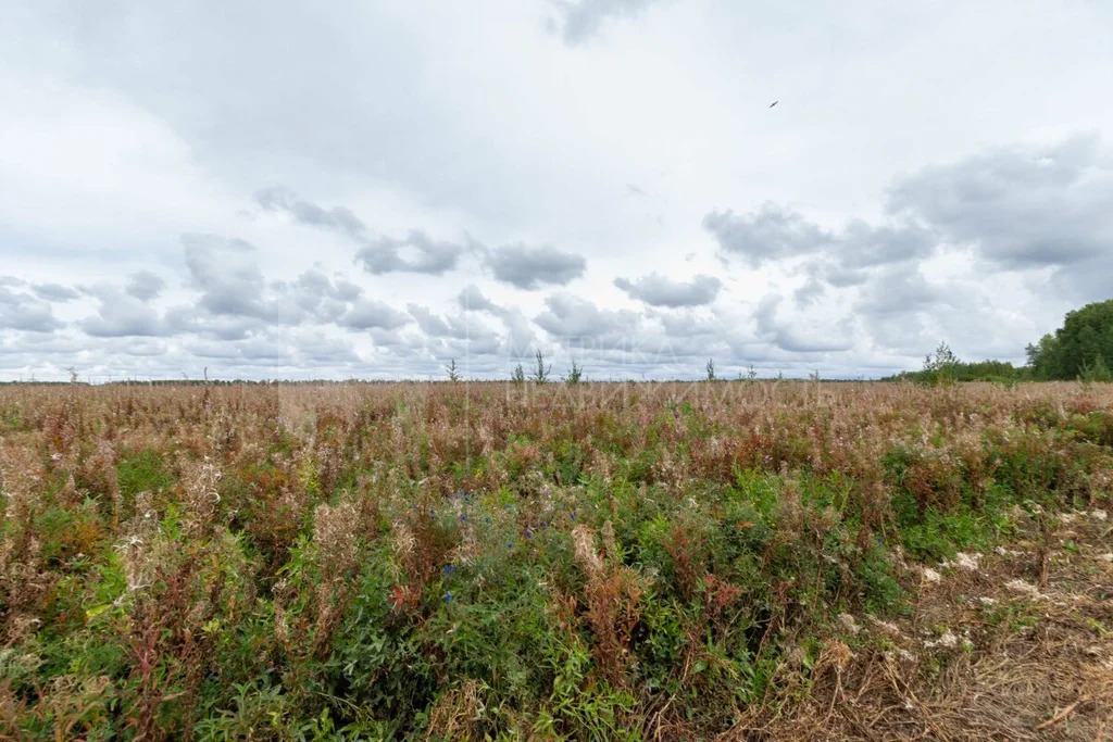 Продажа участка, Перевалово, Тюменский район, Тюменский р-н - Фото 0