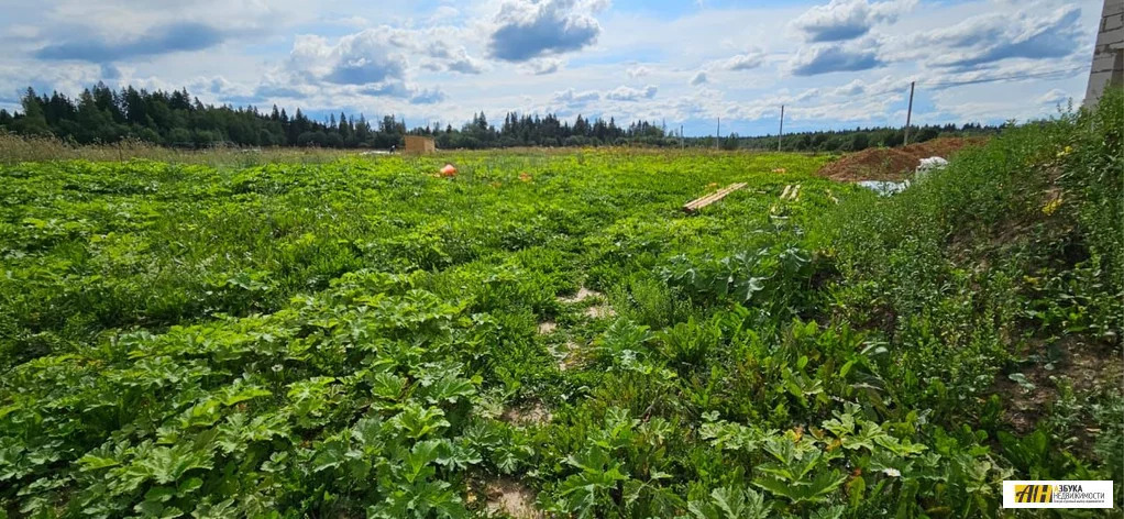 Продажа дома, Истринский район, коттеджный посёлок Грейс Парк - Фото 11