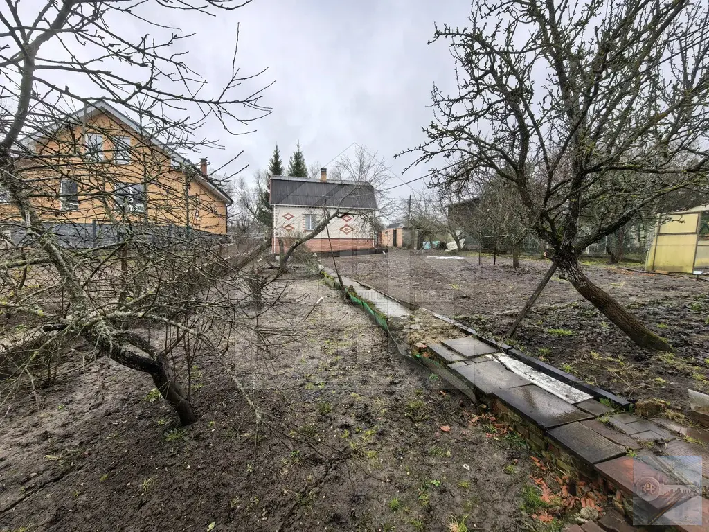 Ступинский р-н, с. Марьинка - Фото 15