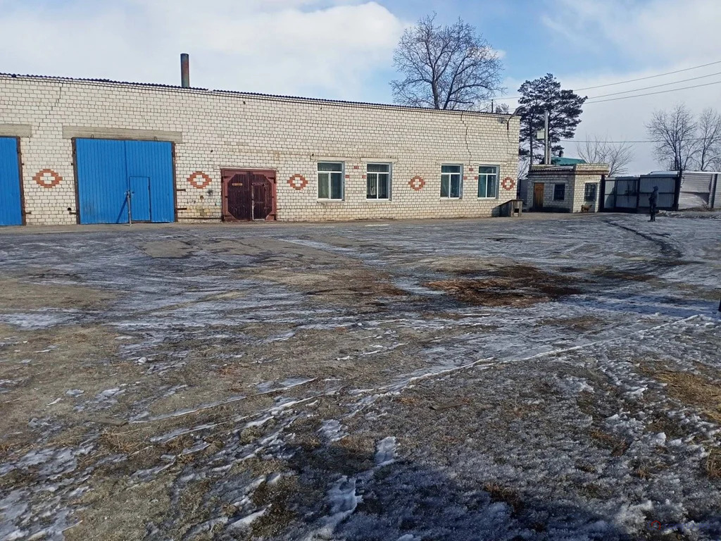 Продажа производственного помещения, Свободный, ул. Луговая - Фото 0