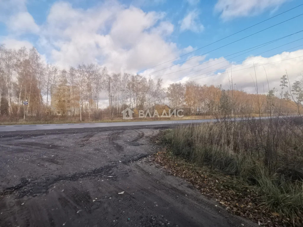 Суздальский район, село Новоалександрово,  земля на продажу - Фото 13