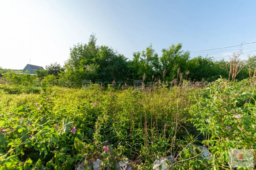 Продажа участка, Никольское, Лаишевский район, СНТ Березка при ... - Фото 4