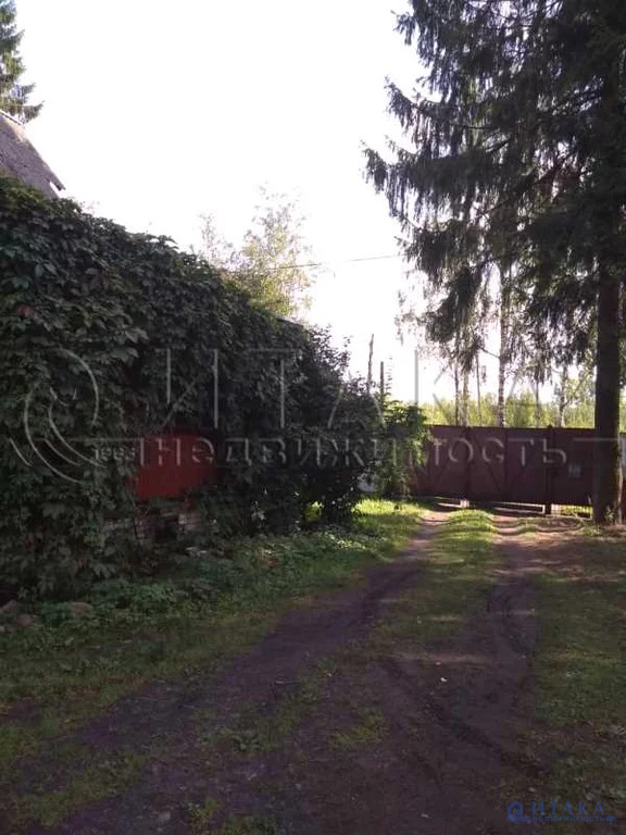 Всеволожск, евграфова 35. Дом на евграфова всеволожск. Всеволожск, ул. Дом на евграфова всеволожск. Всеволожск, ул.