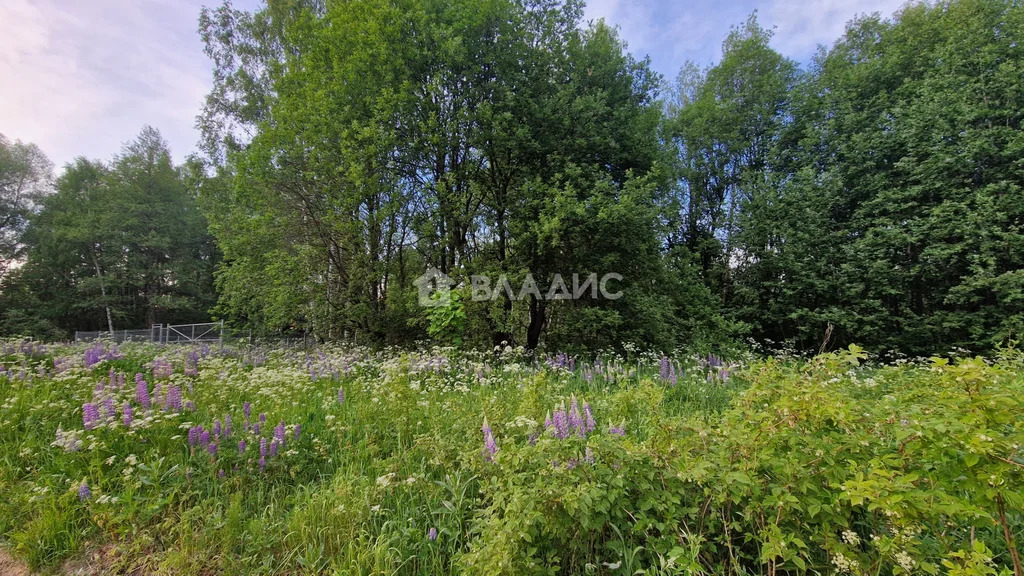 городской округ Владимир, Владимир, Ленинский район, 2-я Полётная ... - Фото 1