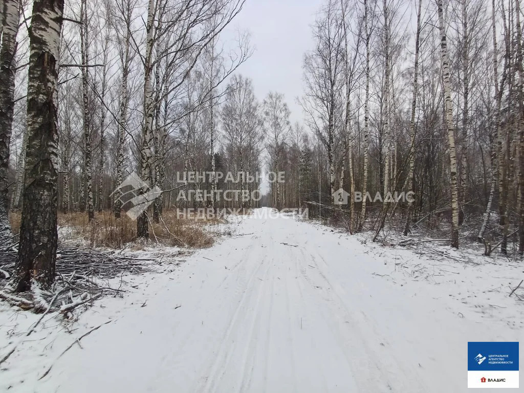 Продажа участка, Ушмор, Клепиковский район - Фото 1