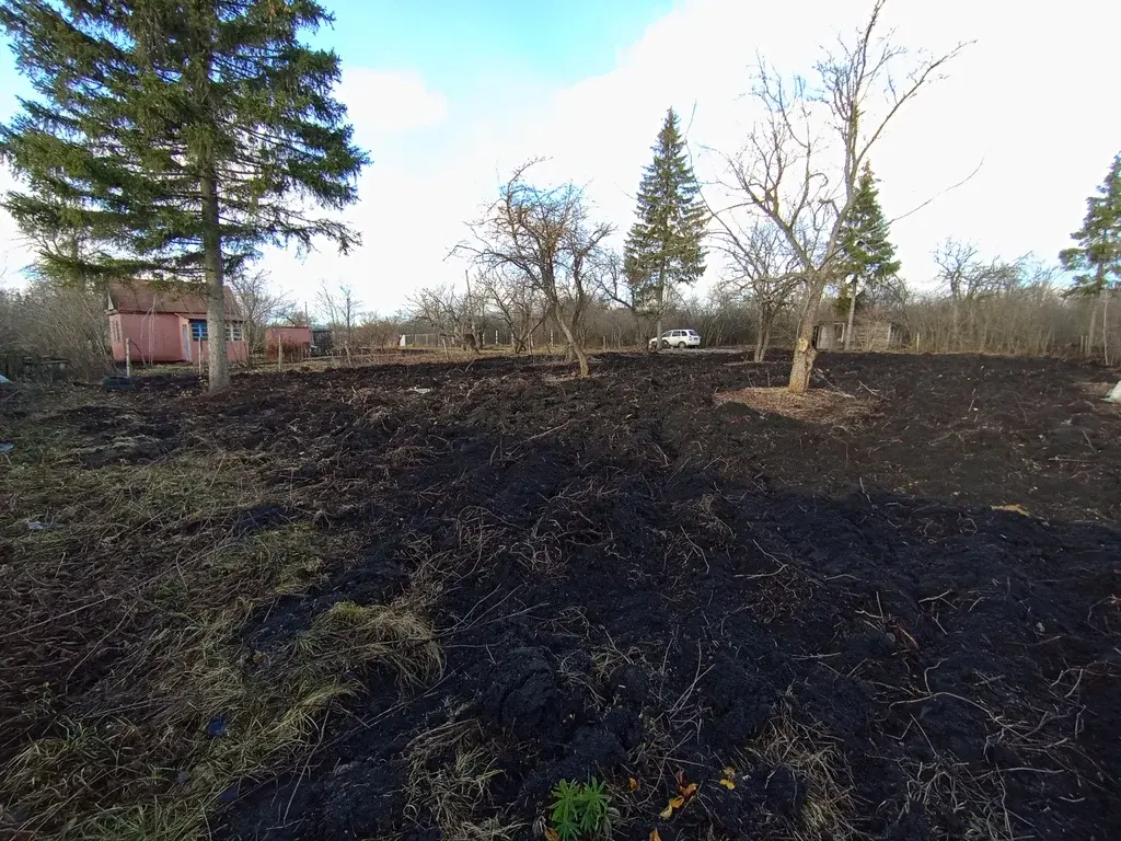 Участок 7,3 сот. (СНТ, ДНП) - Фото 7