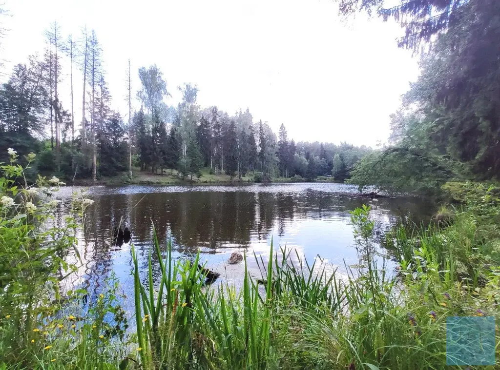 211 кв.м. в лесу. кп Гончарная Слобода - Фото 17