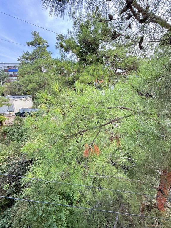 Продажа квартиры, Дивноморское, ул. Горная - Фото 18