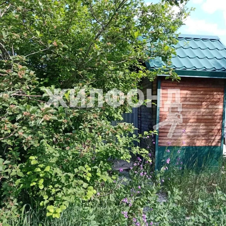 Продажа дома, Бердск, с/о Родник-2 - Фото 20