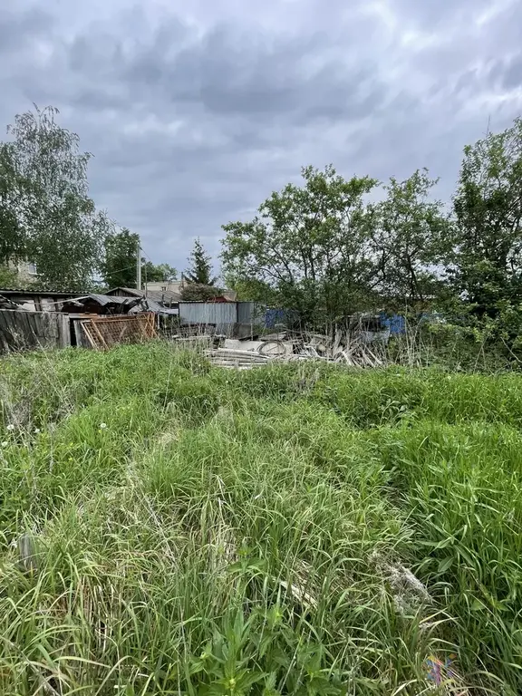 Продаю участок 15 соток, под пмж д. Госконюшня Ступинский район. - Фото 5