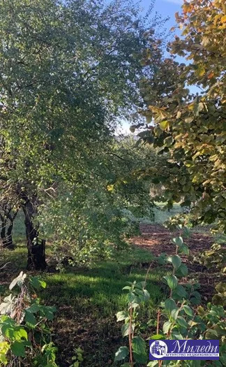 Продажа участка, Батайск, Ольховая улица - Фото 7