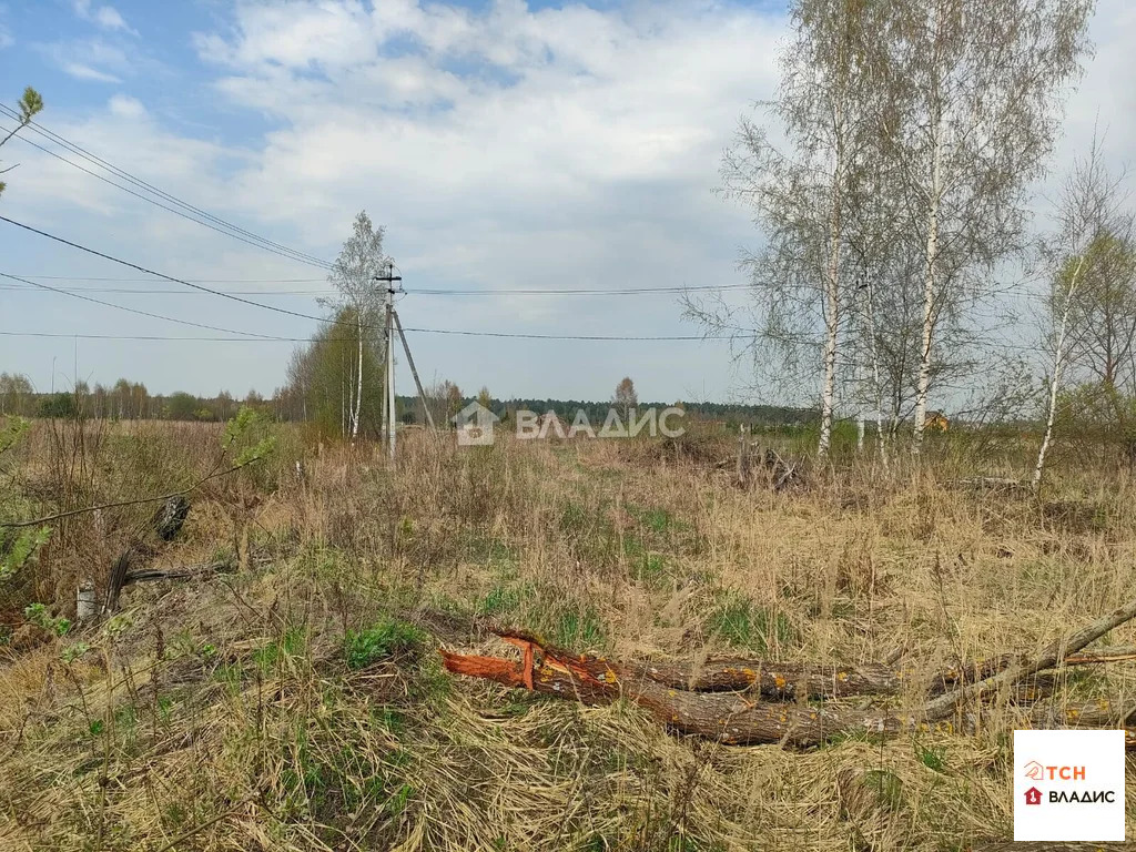 Продажа участка, Ногинск, Богородский г. о., Ново-Богородская улица - Фото 9