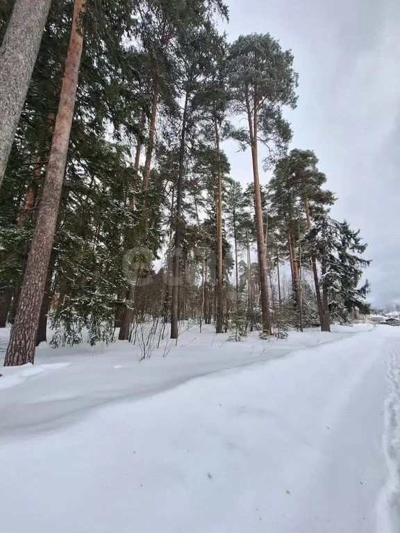 Продажа участка, Щелковский район, 4-я Луговая улица - Фото 0