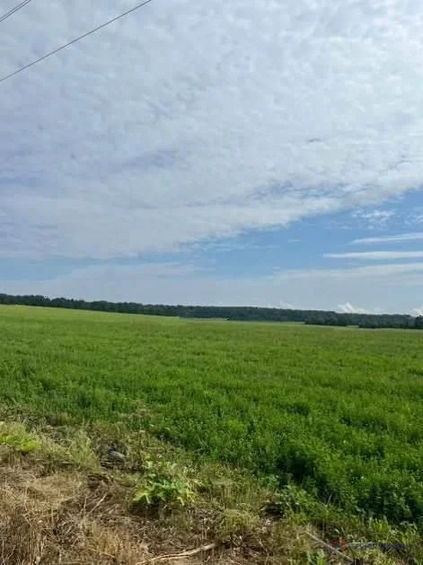 Продажа земельного участка, Сумароково, Рузский район - Фото 6