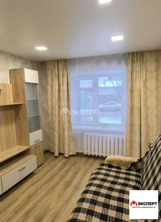 2-комнатная квартира, д. Евсеево - Фото 4