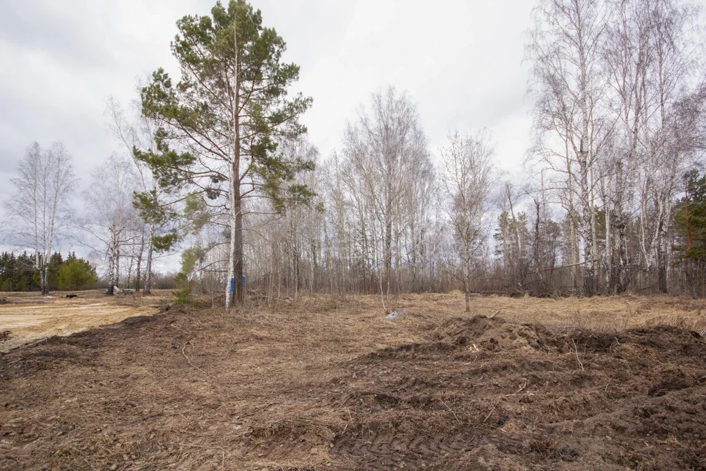 Продажа участка, Перевалово, Тюменский район, Тюменский р-н - Фото 2