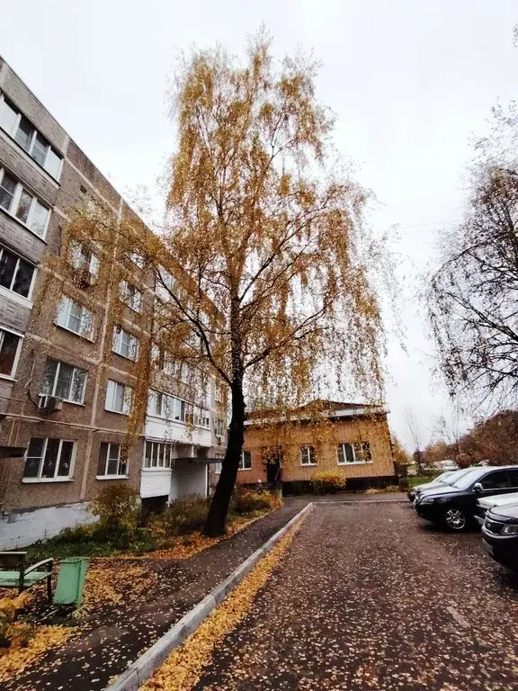 1 комнатная квартира 33,1 кв.м с большим балконом на 3-этаже - Фото 9