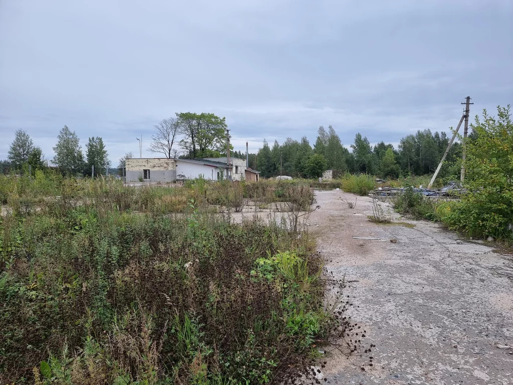 Продажа участка, Лесколово, Всеволожский район - Фото 7